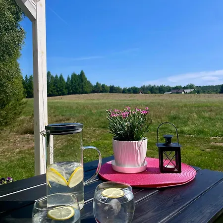 Ferienhaus Lesne Siedlisko