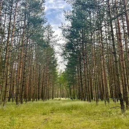 Lesne Siedlisko Ferienhaus Wygonin