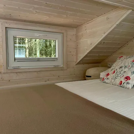 Lesne Siedlisko Ferienhaus *