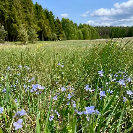 Lesne Siedlisko