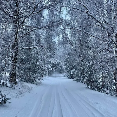 Lesne Siedlisko Ferienhaus