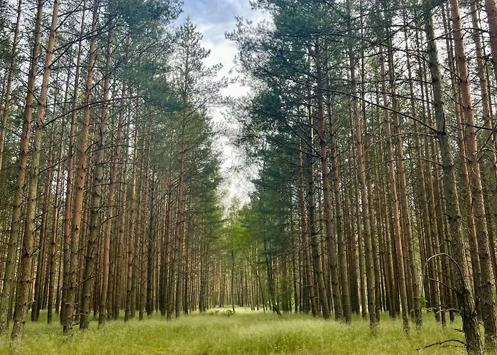 Lesne Siedlisko 別荘 Wygonin