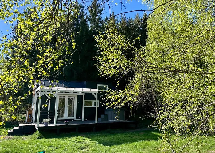 Lesne Siedlisko Wygonin