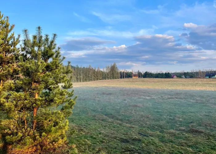 Lesne Siedlisko 別荘