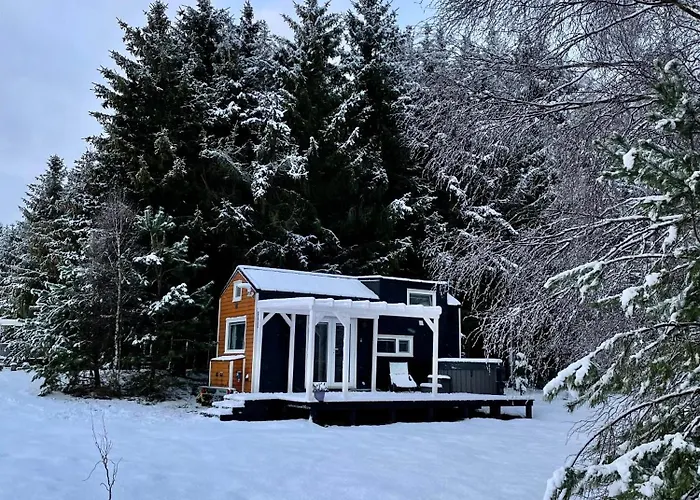 Lesne Siedlisko 別荘 Wygonin