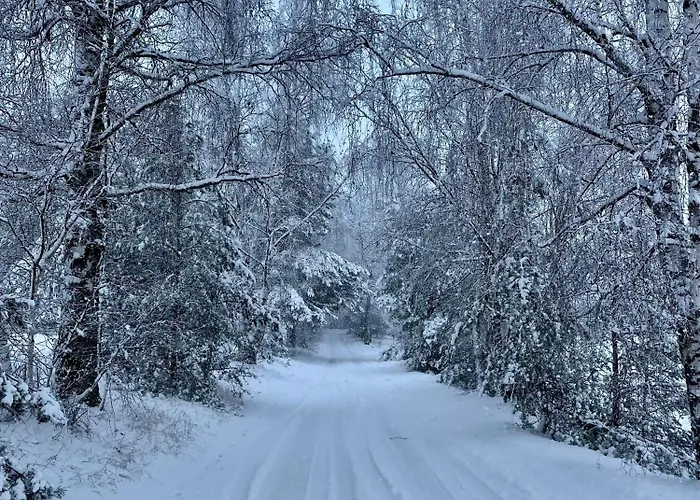 Lesne Siedlisko 別荘